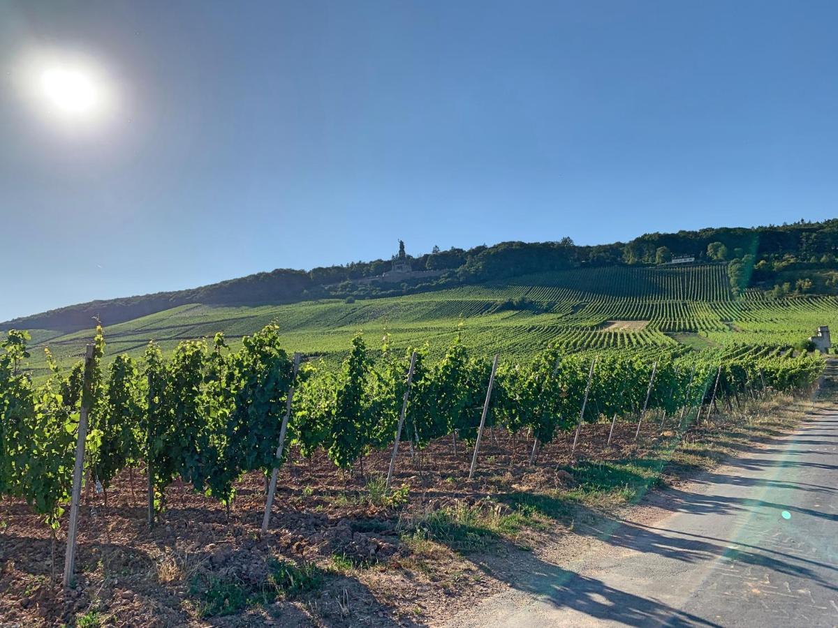 Fewo Zum Malerwinkel - Ruedesheim Ruedesheim am Rhein Luaran gambar
